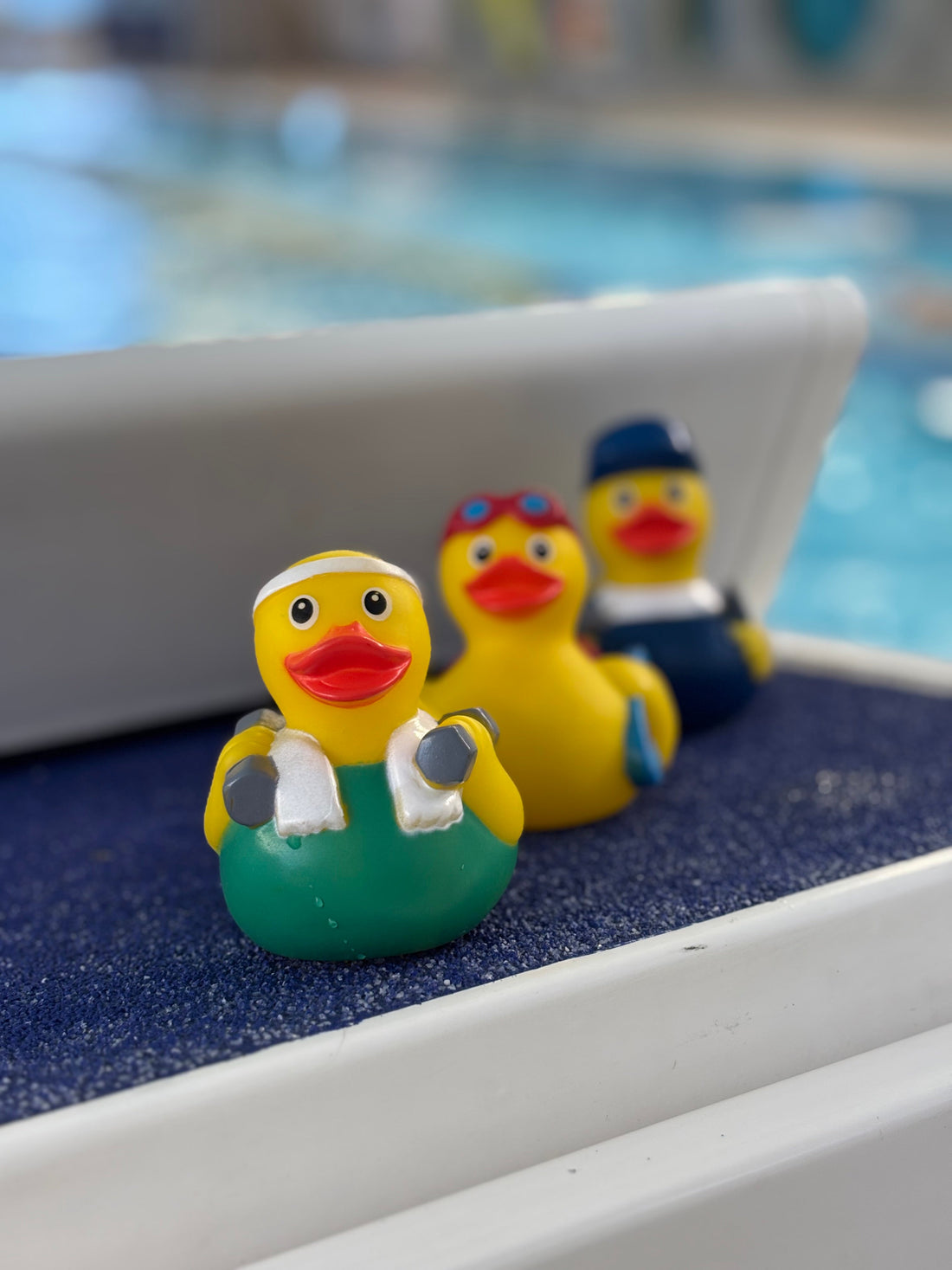 Les canards jaunes sont devenus mes outils de prédilection depuis quelques années pour peaufiner le dos crawlé chez les jeunes nageurs